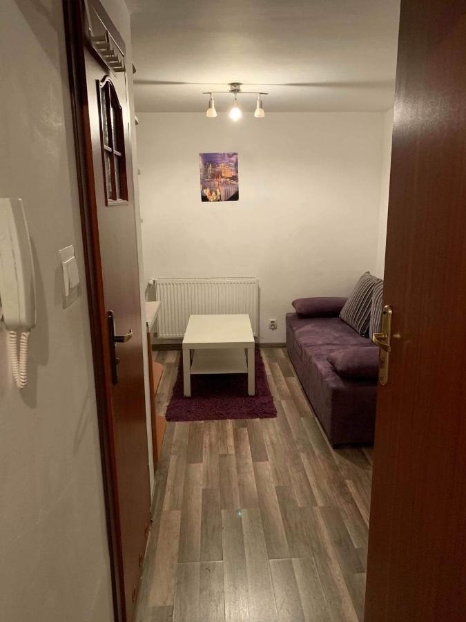 Cozy Studio Apartment Krakow Exterior photo